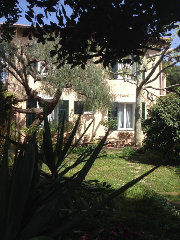 Villa Pretorina Cannes Exteriör bild